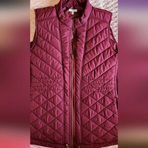 Winter Vest